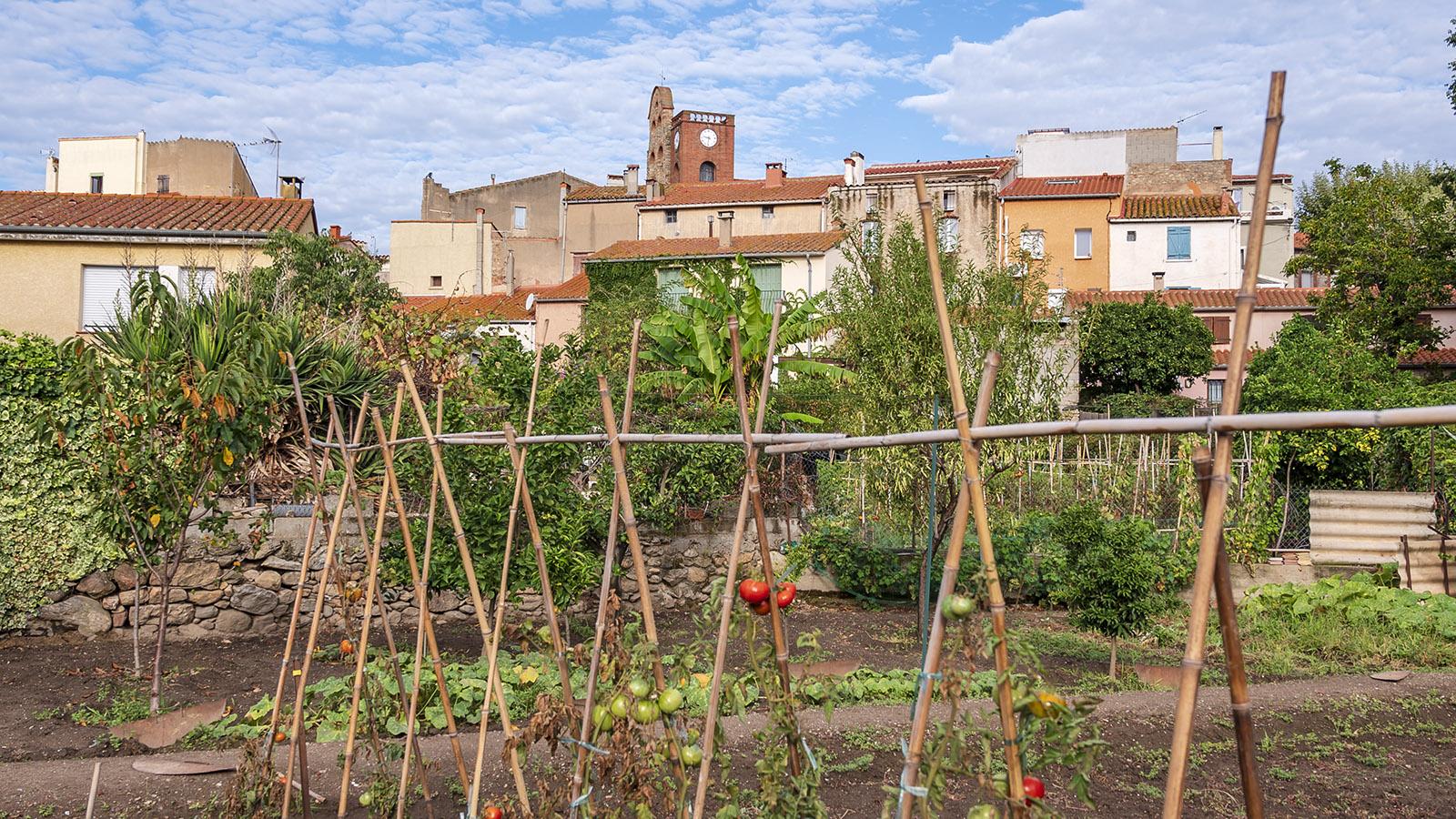 Blick über die Gärten auf Sorède. Foto: Hilke Maunder