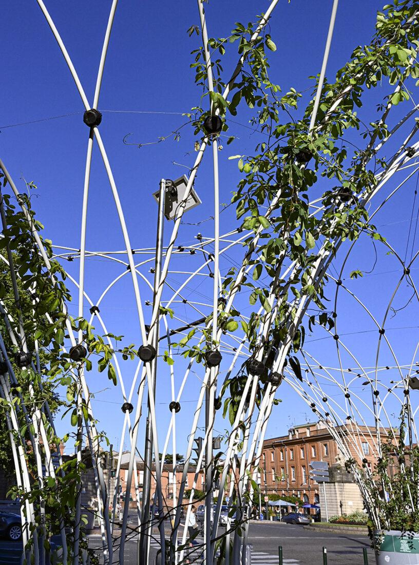 Die <em>canopées urbaines</em> von Toulouse. Foto: Hilke Maunder
