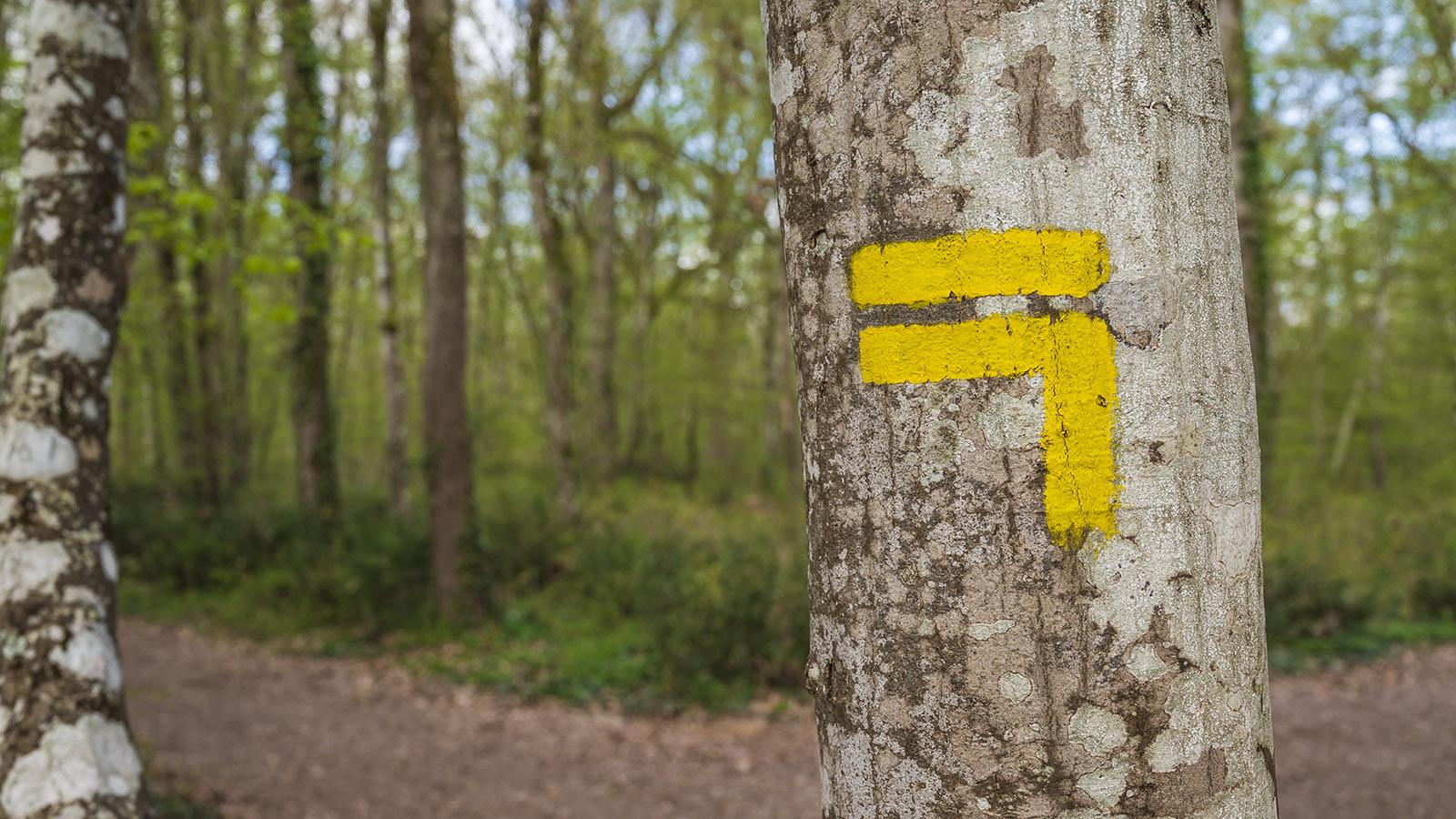 Lokale Wanderwege sind in Frankreich gelb markiert. Foto: Hilke Maunder