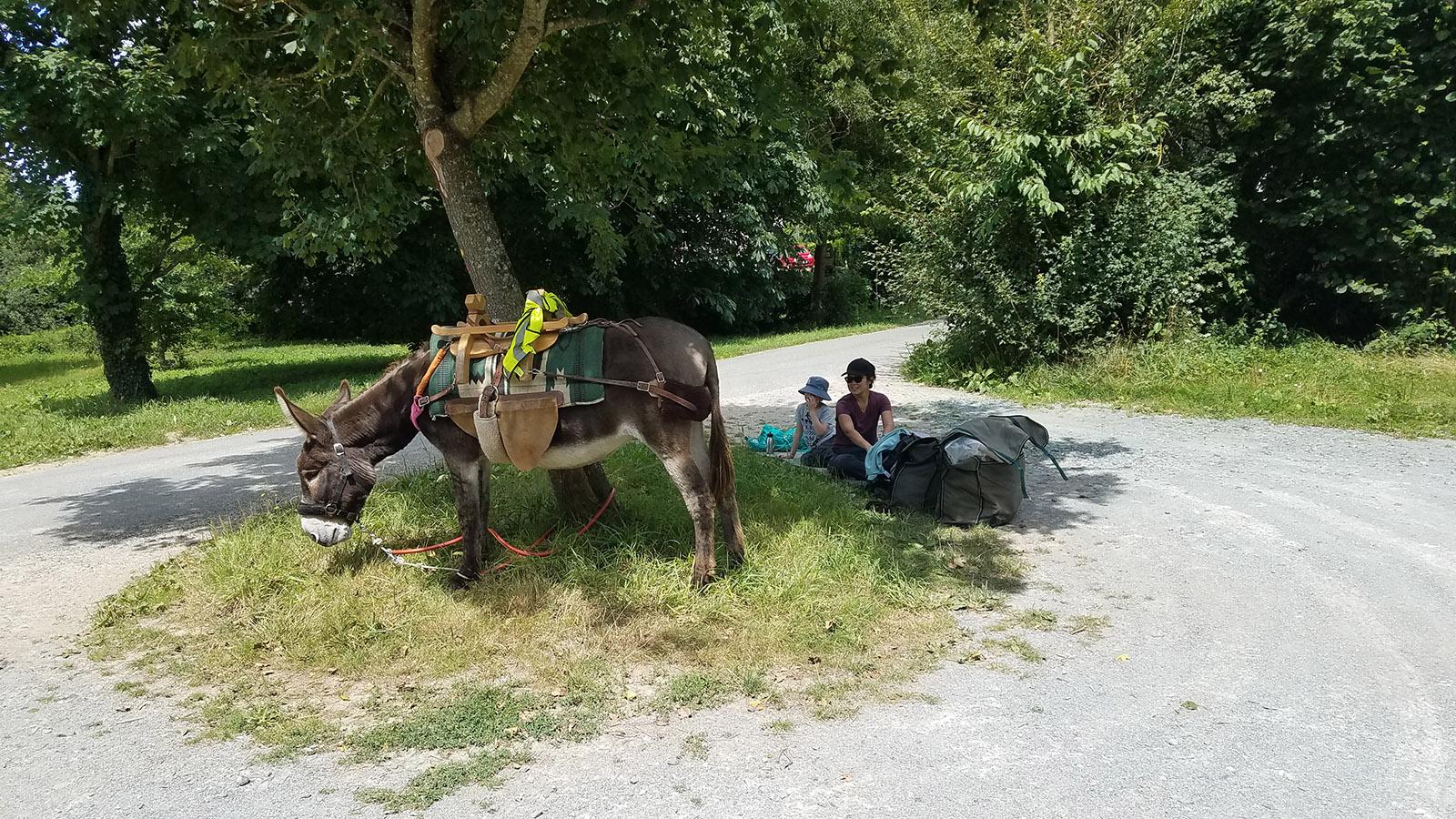 Unterwegs mit Kind und Esel am Kanal. Foto: Reinhardt Michael