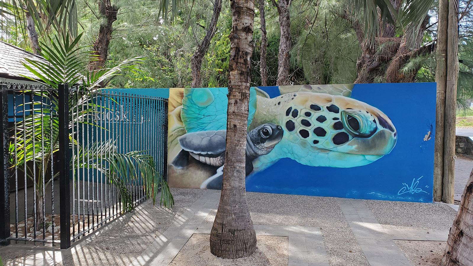 Der Eingang zeigt deutlich, um wen sich hier alles dreht: Schildkröten. Foto: Jasmin Menrad