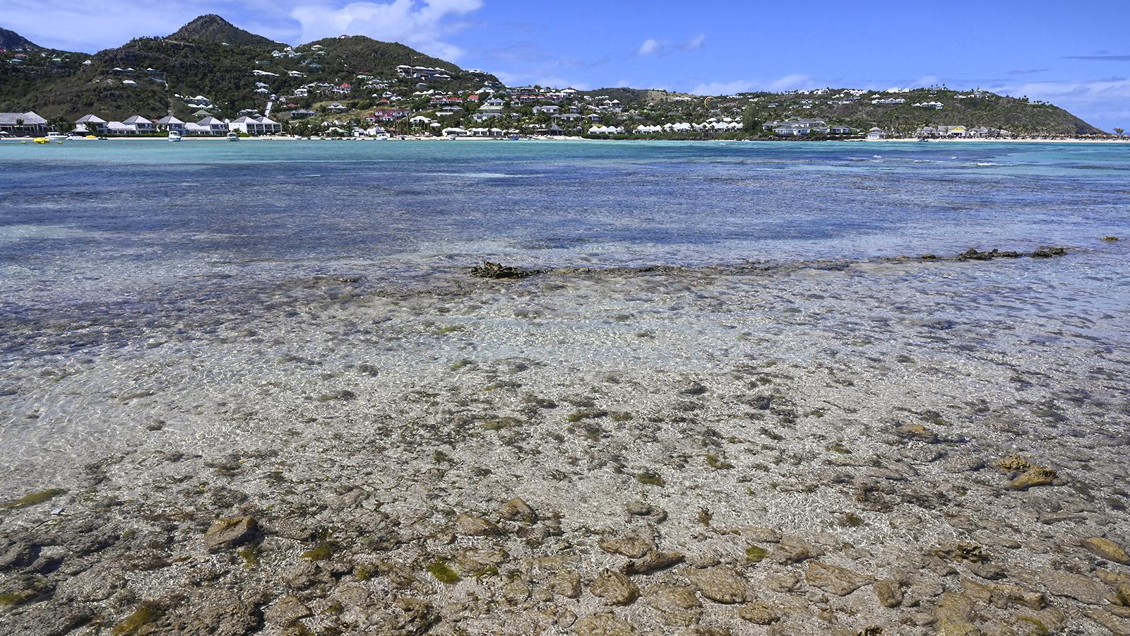 Lebensraum von Meeresschildkrögten: die Lagune von Grand Cul-de-Sac. Foto: Hilke Maunder