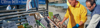Die Austernhändler am Hafen von Cancale öffnen die Austern für euch - perfekt für ein Picknick am Kai! Foto: Hilke Maunder