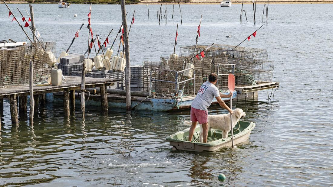 Cap Ferret, L'Herbe. Foto: Hilke Maunder