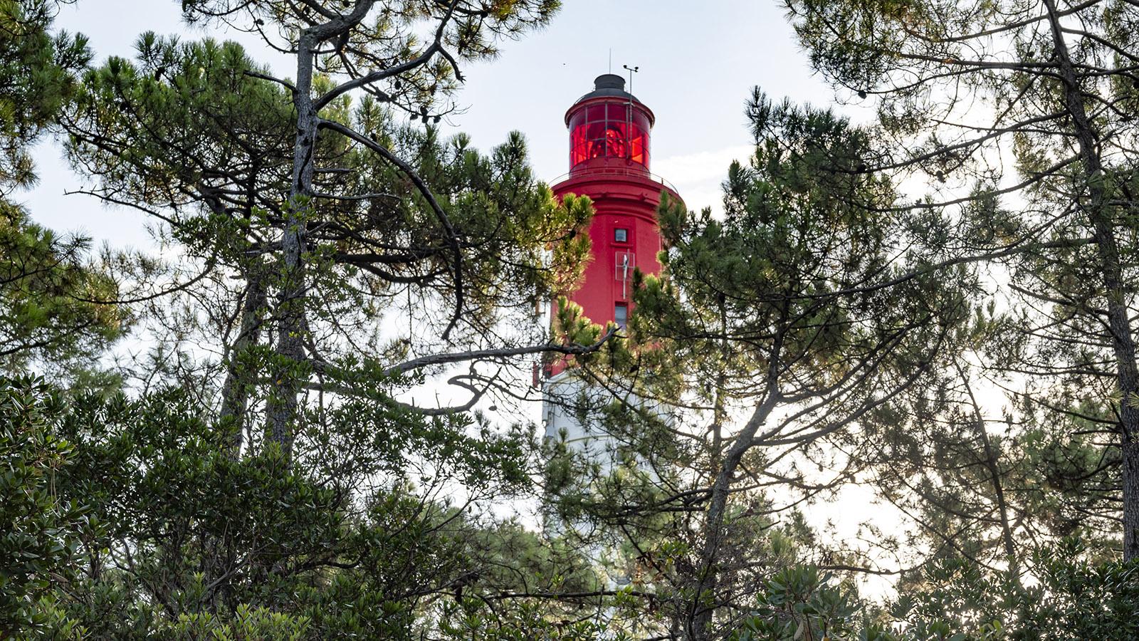 Der Leuchtturm am Cap Ferret. Foto: Hilke Maunder