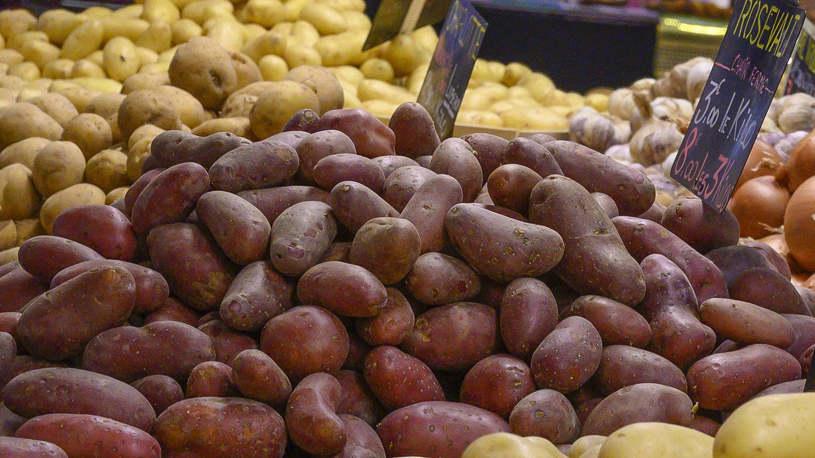 Beliebt: die blaurote Roseval-Kartoffel. Foto: Hilke Maunder