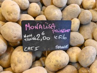 Monalisa, eine beliebte Kartoffelsorte aus der Provence. Foto: Hilke Maunder