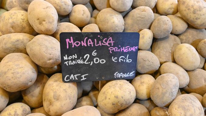 Monalisa, eine beliebte Kartoffelsorte aus der Provence. Foto: Hilke Maunder