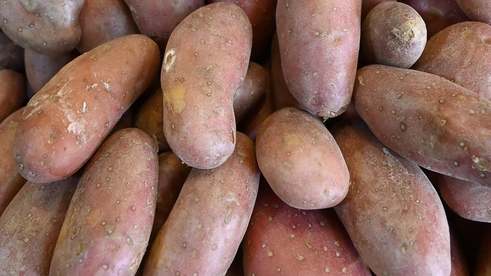 Chérie nennt sich diese hellrote Kartoffelsorte, die ich in der Markthalle von Menton entdeckte. Foto: Hilke Maunder