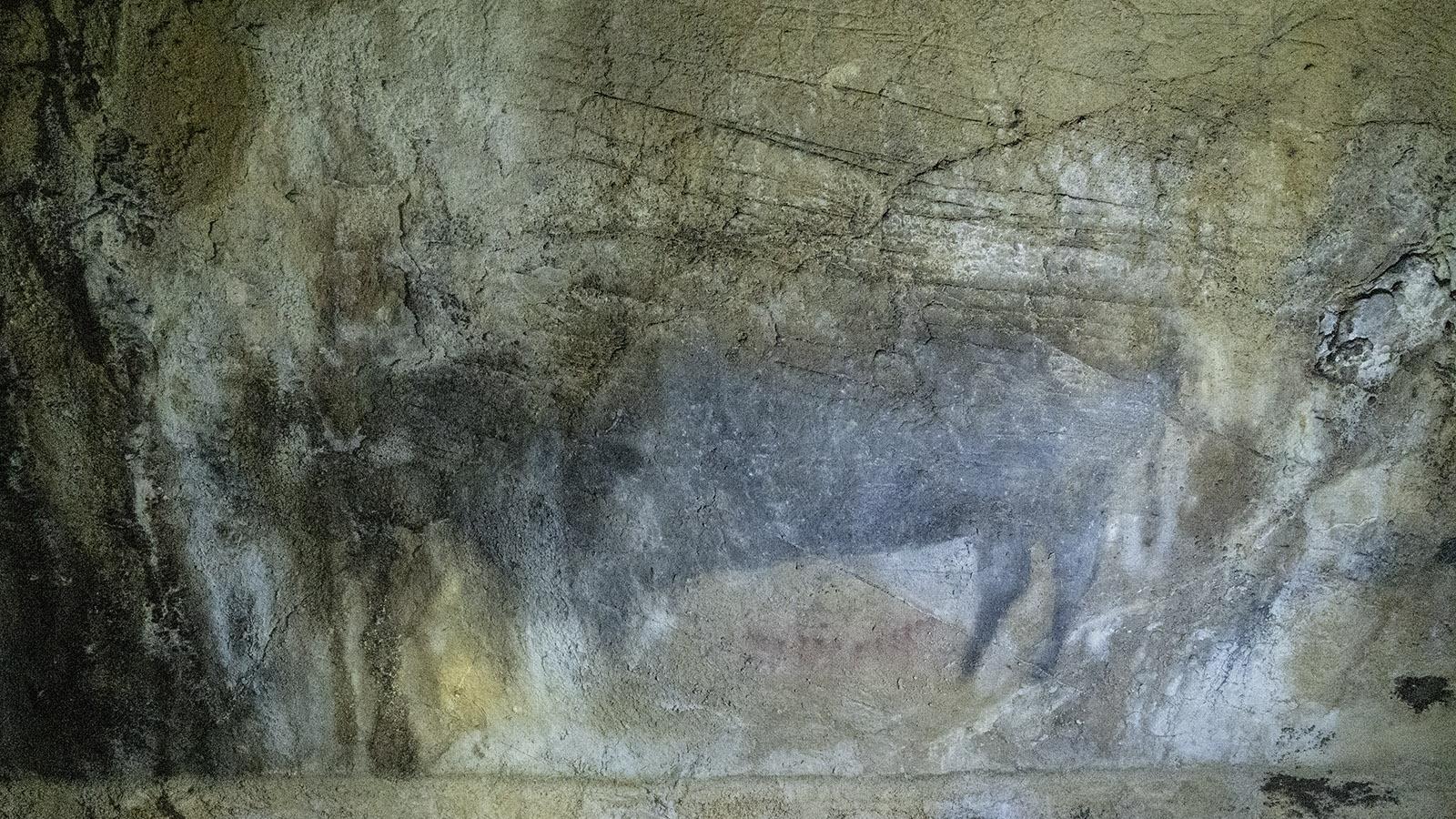 Vor allem Bison-Darstellungen sind in der Höhle von Bédeilhac zu finden. Foto: Hilke Maunder