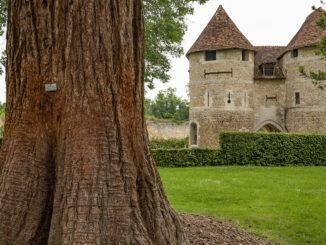 Das Schloss von Harcourt liegt inmitten eines uralten Arboretums. Foto: Hilke Maunder