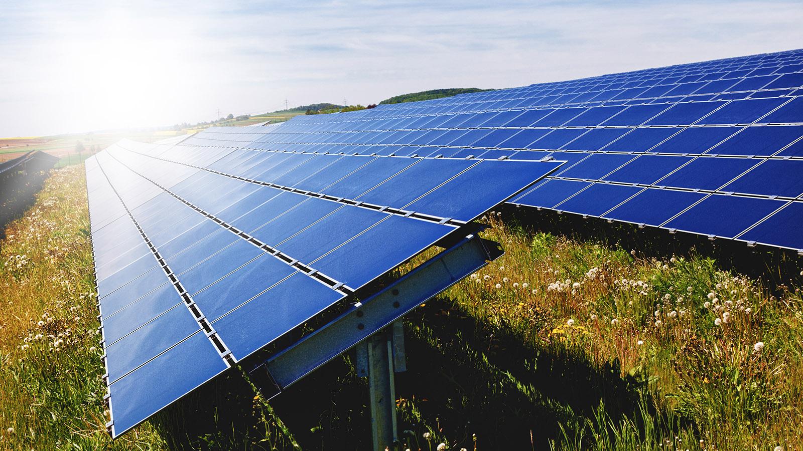 Solarpaneele. Foto: EDF/Pressebild