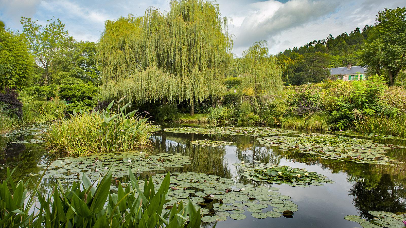 Der Wassergarten von Monet in Giverny. Foto: Hilke Maunder