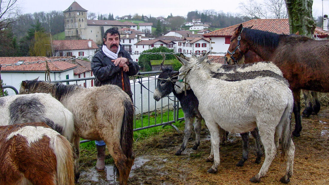 Sylvain Dumontel mit seinen Tieren bei der Pottoka Feria in Espelette. Foto: Hilke Maunder