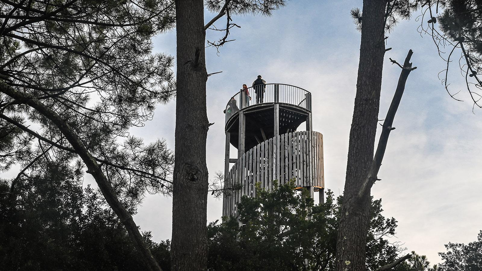 Aus Holz errichtet: die beiden Aussichtstürme im Naturschutzgebiet von Cousseau. Foto: Hilke Maunder