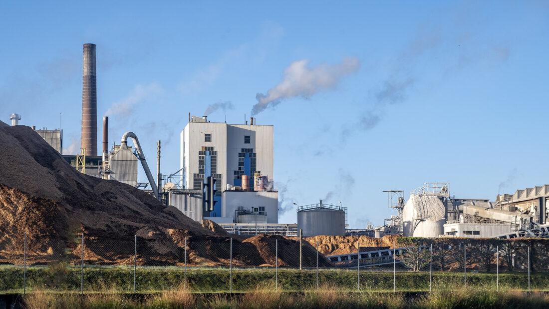 Die Papierfabrik von Mimizan. Foto: Hilke Maunder