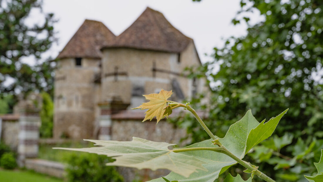 Das mittelalterliche Schloss. Foto: Hilke Maunder