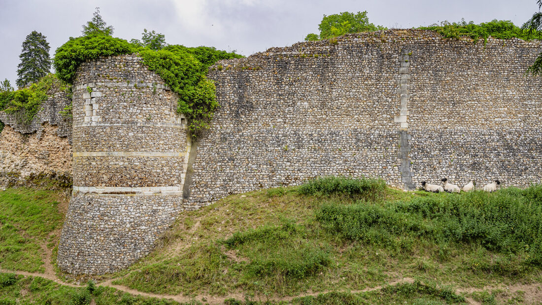 Die Schlossmauern. Foto: Hilke Maunder