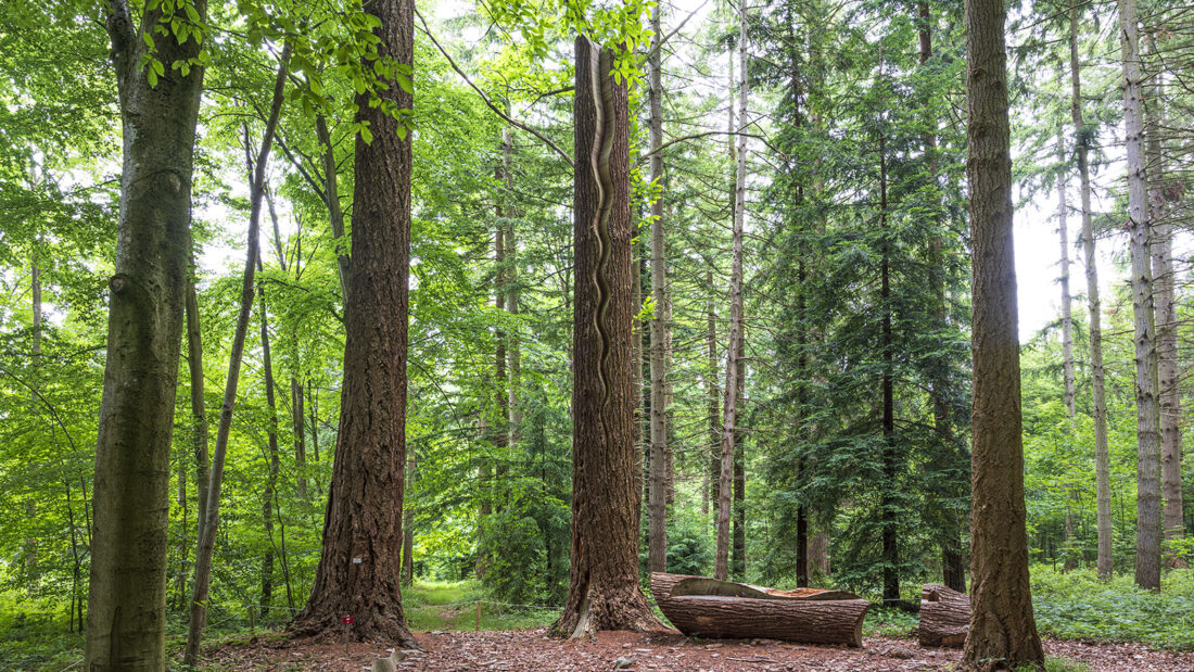 Auch Kunst aus Holz versteckt sich im Wald – wie dieser geschnitzte Specht. Foto: Hilke Maunder