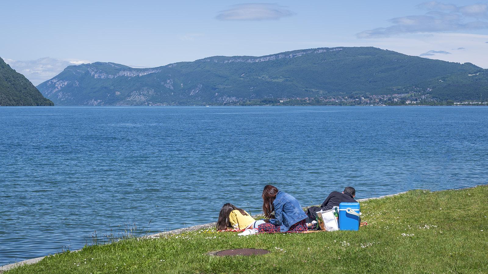 Am Ufer des Lac du Bourget bei Le Bourget. Foto: Hilke Maunder