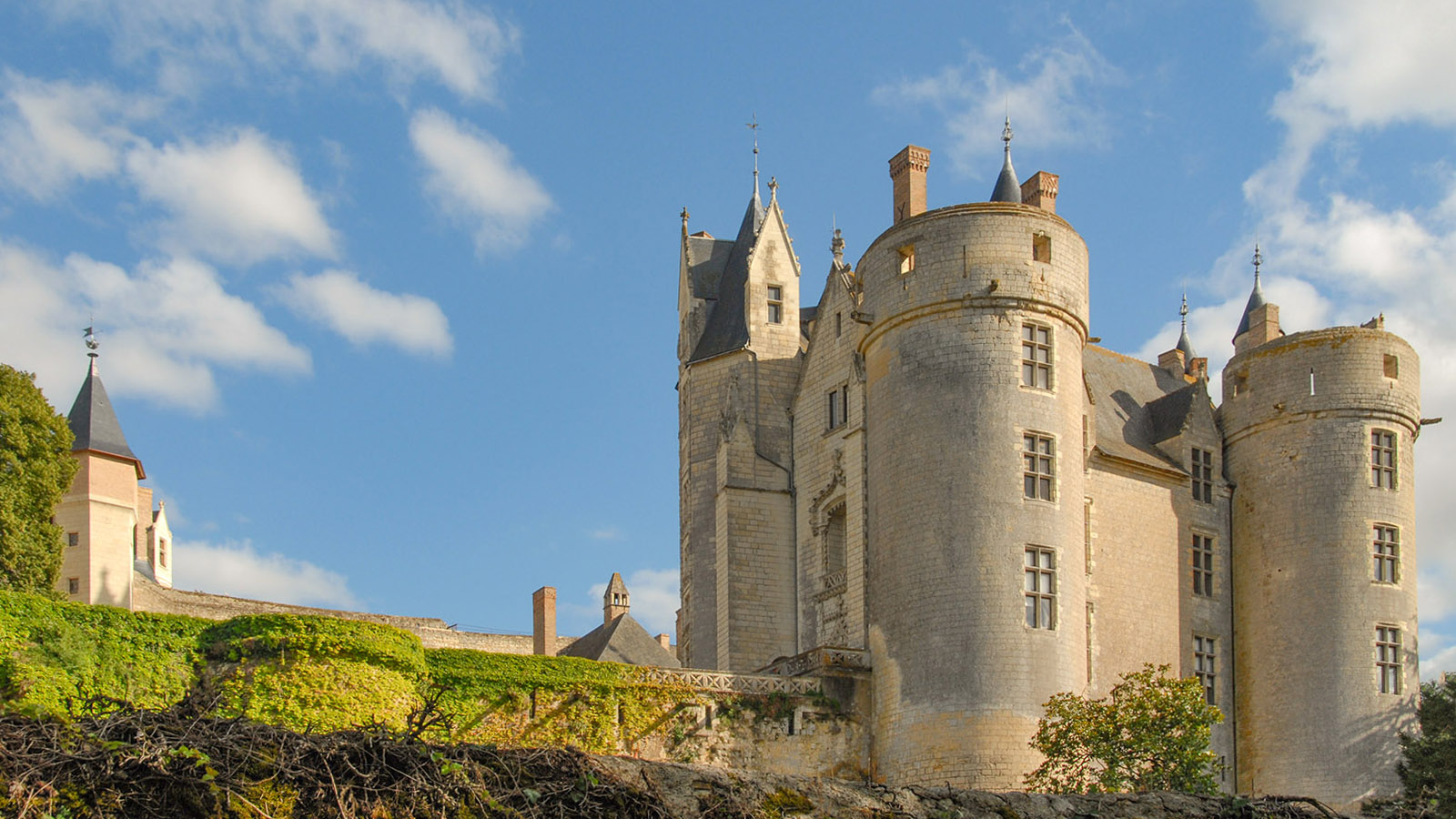 Das Château de Montreuil-Bellay. Foto: Hilke Maunder