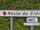 So führt euch die Route du Cidre durch das Pays d'Auge. Foto: Hilke Maunder