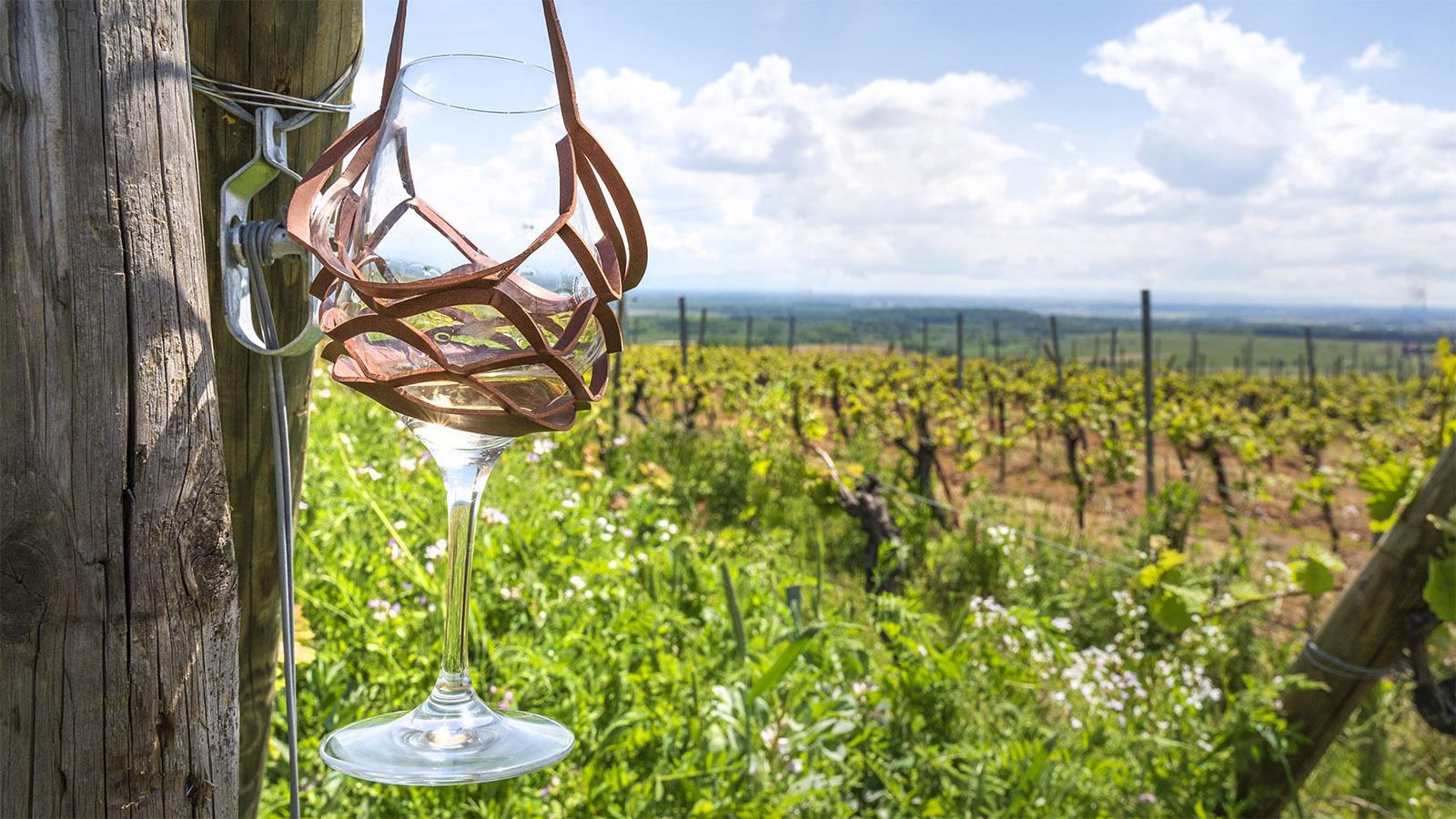 Das Weinglas der Tournée des Terroirs. Foto: Hilke Maunder