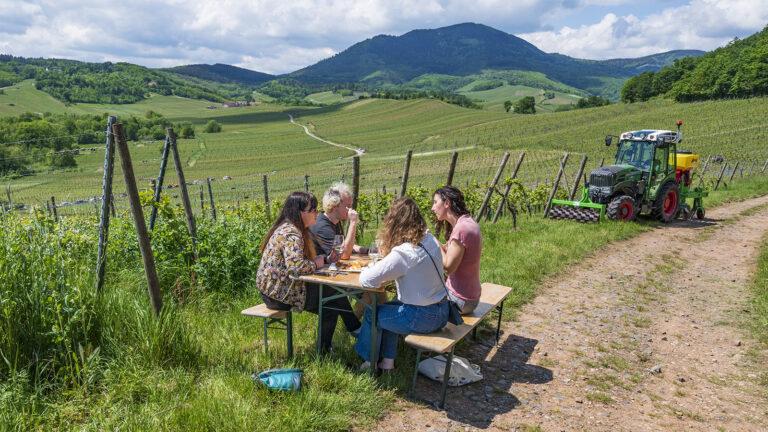 Route des Vins d’Alsace: Wein im Glück