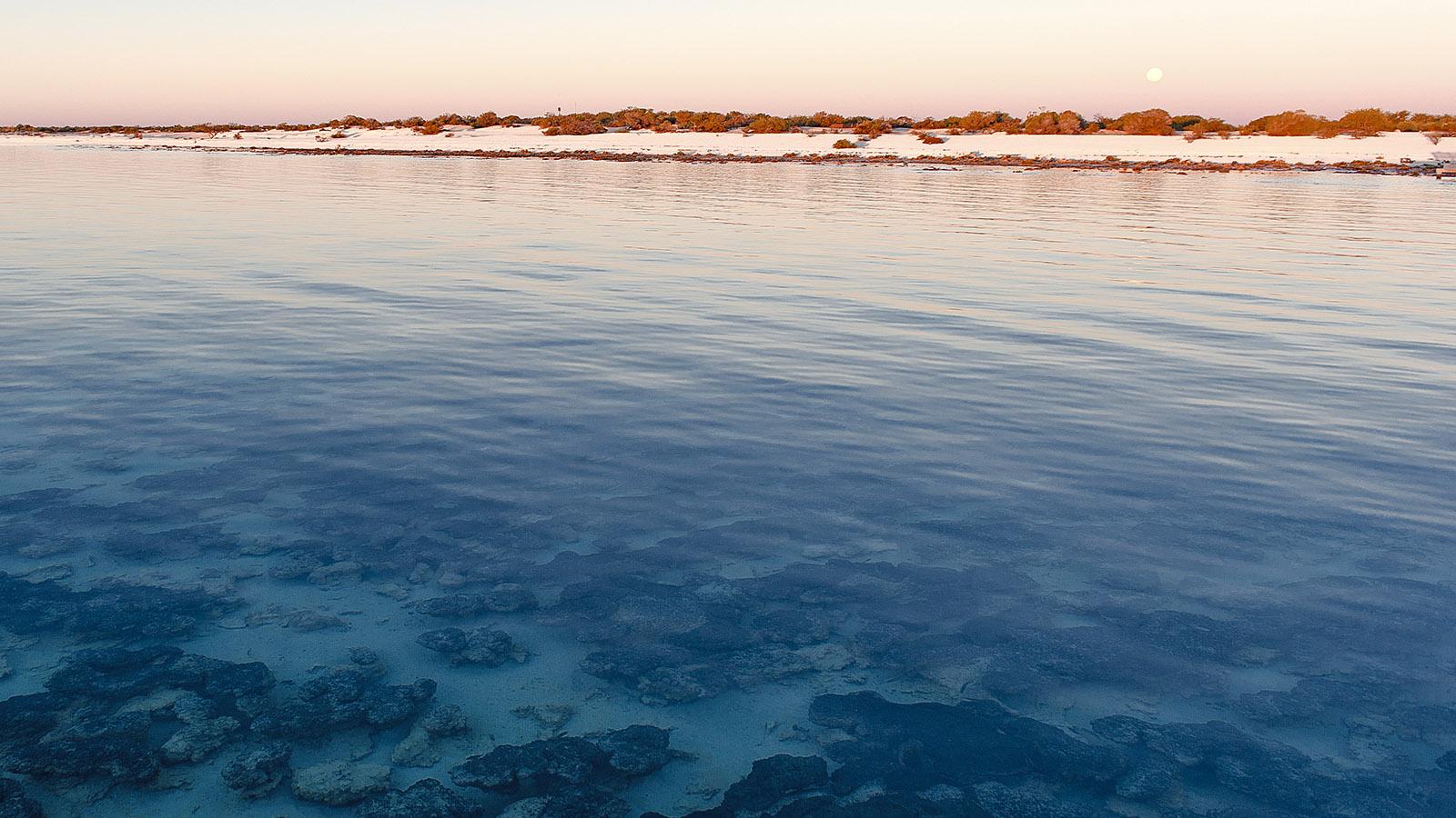 Australien in bleu, blanc, rouge: die Küste des François Peron National Park. Foto: Hilke Maunder