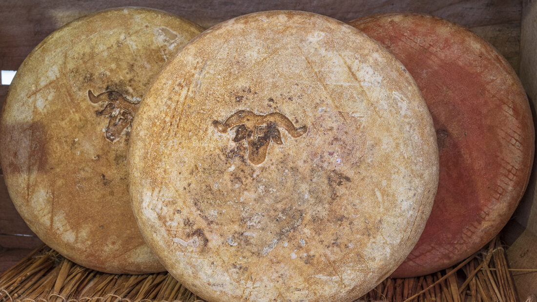Echten, handwerklich hergestellten Ossau-Iraty-Käse erkennt ihr an diesem Prägestempel. Foto: Hilke Maunder