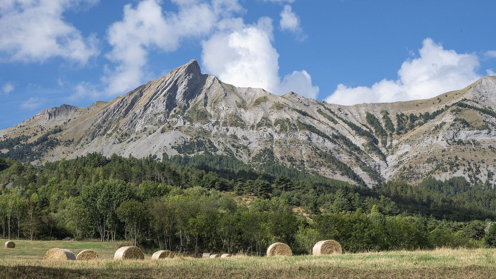 Die Landschaft zur Linken kurz vor dem Col de Bayard. Foto: Hilke Maunder