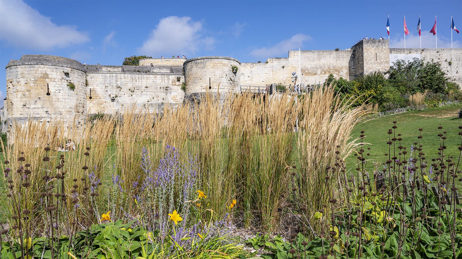 Eingebettet in Grün: die Burg von Caen. Foto: Hilke Maunder