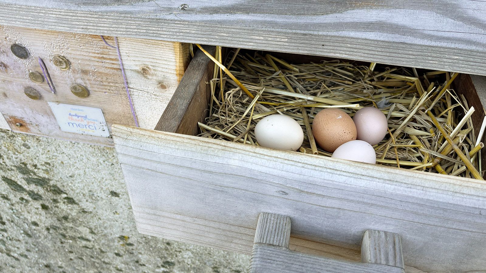 Die Eier-Schublade. Foto: Hilke Maunder
