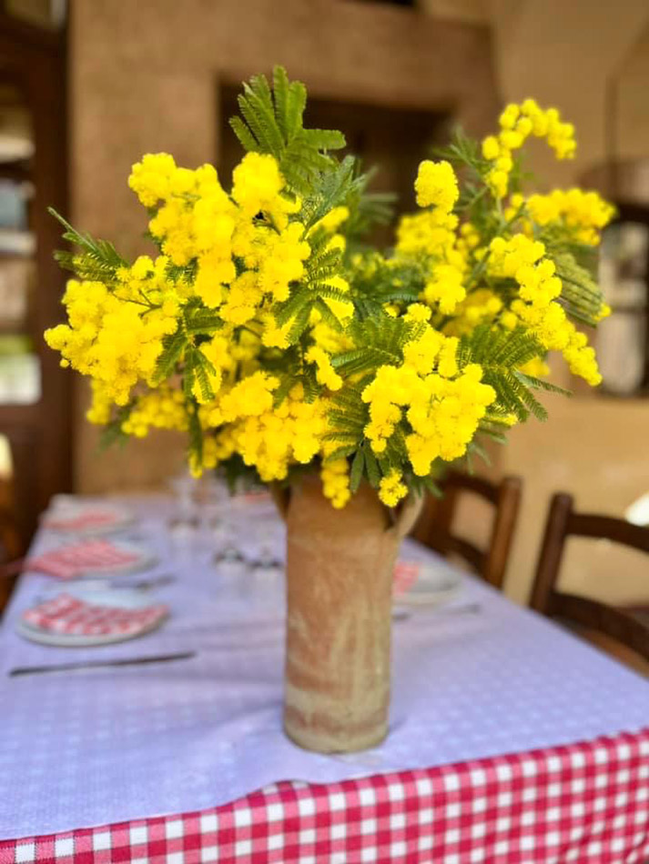 Im Februar stellt das Restaurant der Place des Arcades blühende Mimosen auf seine Tische. Foto: Hilke Maunder