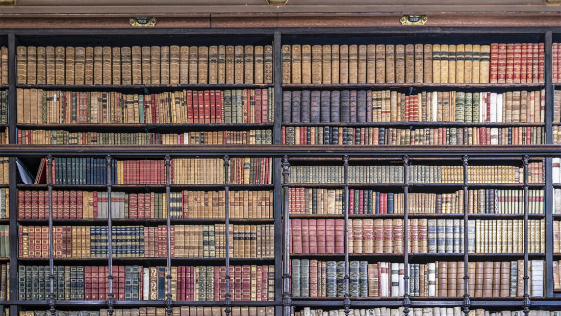 Bücher-Reiche: die beiden Bibliotheken von Schloss Chantilly. Foto: Hilke Maunder