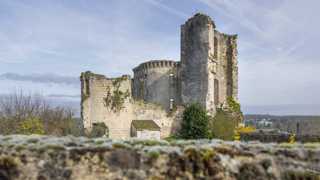 Die Seitenansicht der Burg mit dem Königsturm. Foto: Hilke Maunder