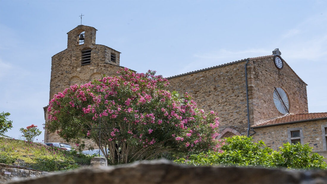 Die Pfarrkirche von Roquebrun. Foto: Hilke Maunder