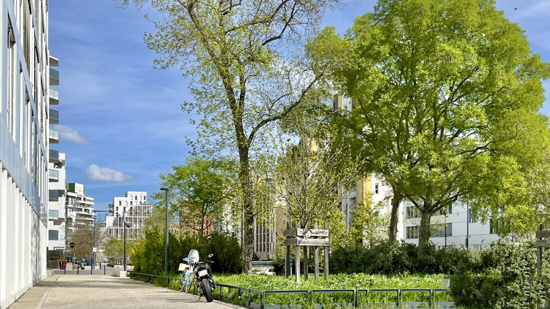 Die großen Reihen mit Wohnblöcken trennin in La Cartoucherie breite Grün-Boulevards. Foto: Hilke Maunder