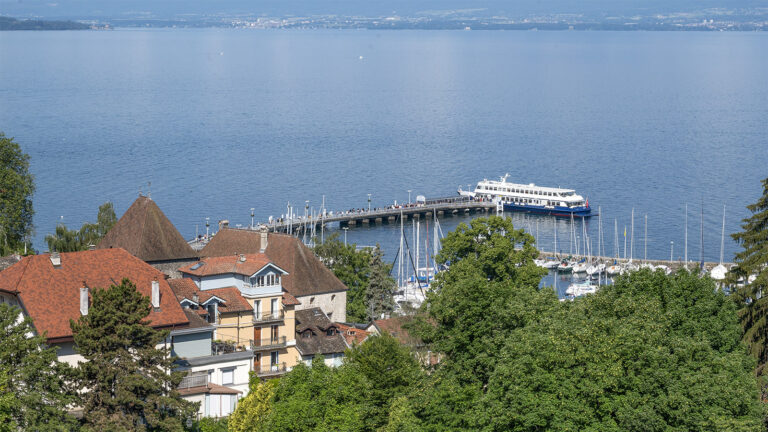 Der Blick vom Belvedere in Thonon-les-Bains auf den Genfer See. Foto: Hilke Maunder