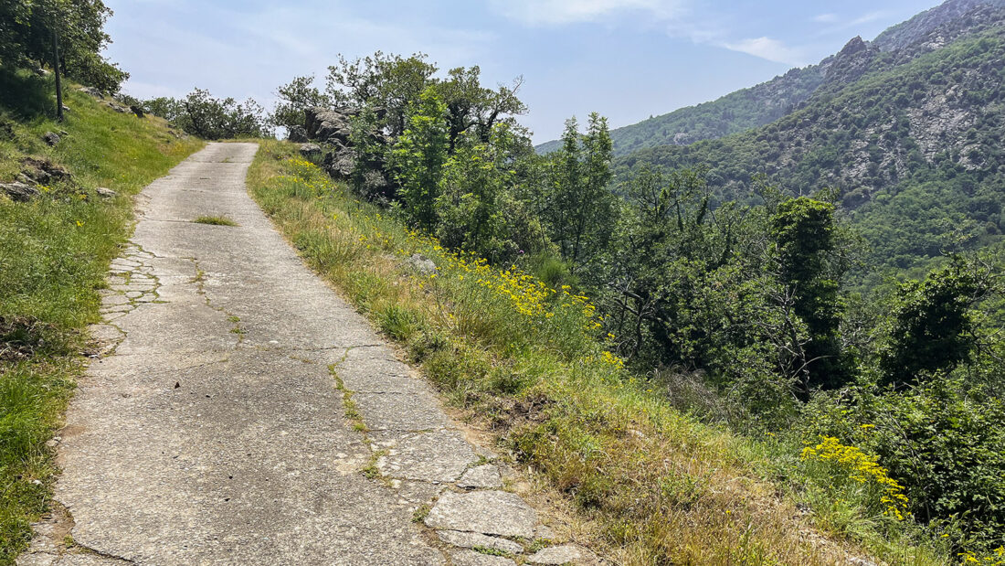 Die Bergstraße nach Bardou. Foto: Hilke Maunder