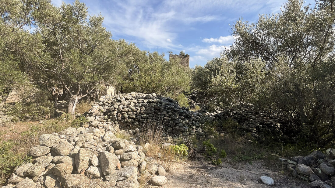 Die Reste von Dorf und Turm: der aufgegebene Weiler Casenoves. Foto: Hilke Maunder
