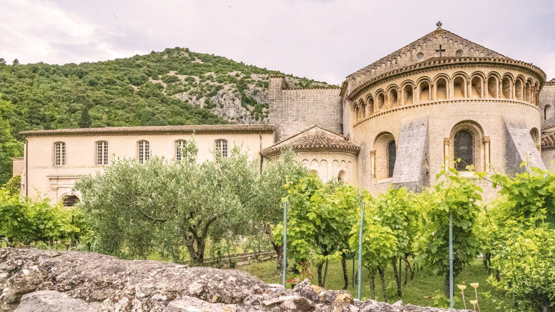Ein kleiner Weinberg gehört zur Abtei von Gellone in Saint-Guilhem-le-Désert. Foto: Hilke Maunder