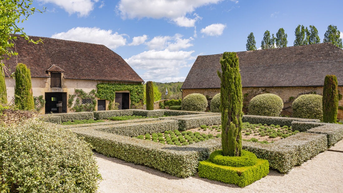 Lavendel, nach der Blüte kurzgeschnitten zum Kohlkopf. Foto: Hilke Maunder