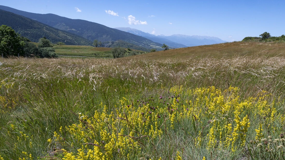 Die Landschaft bei Eyne - der Blick gen Westen. Foto: Hilke Maunder