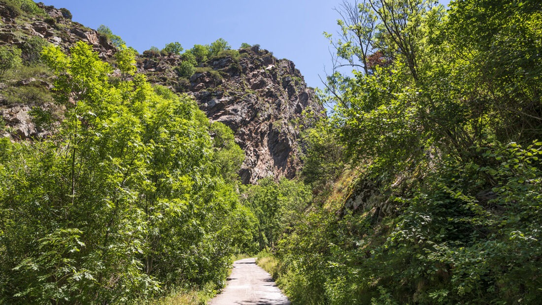 Der Wanderweg in den Gorges du Sègre. Foto: Hilke Maunder