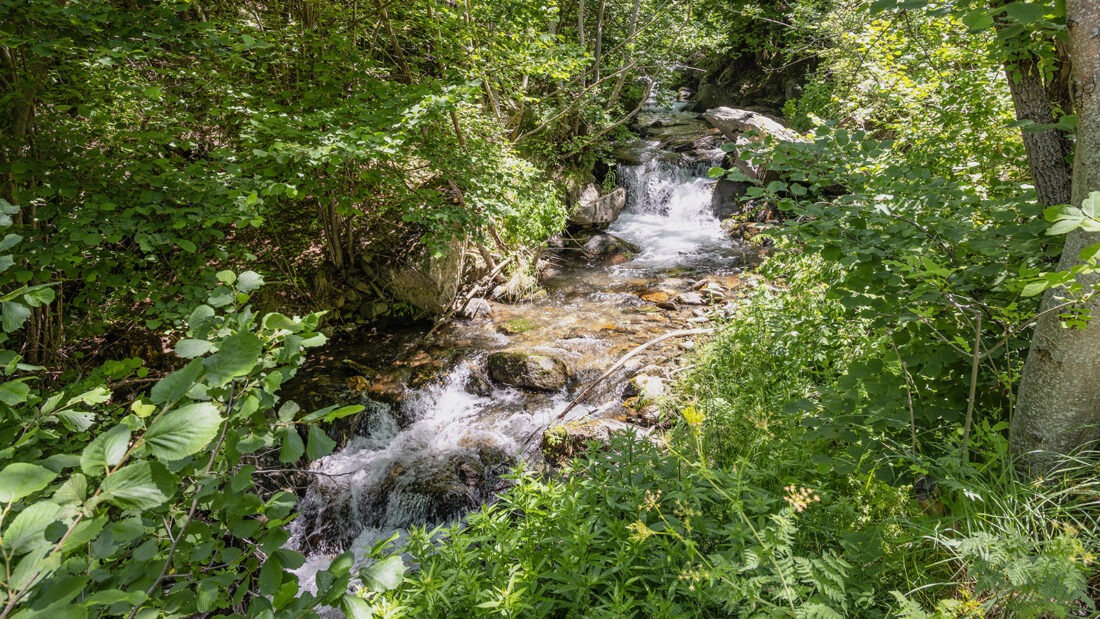 Der Sègre in den Gorges du Sègre. Foto: Hilke Maunder