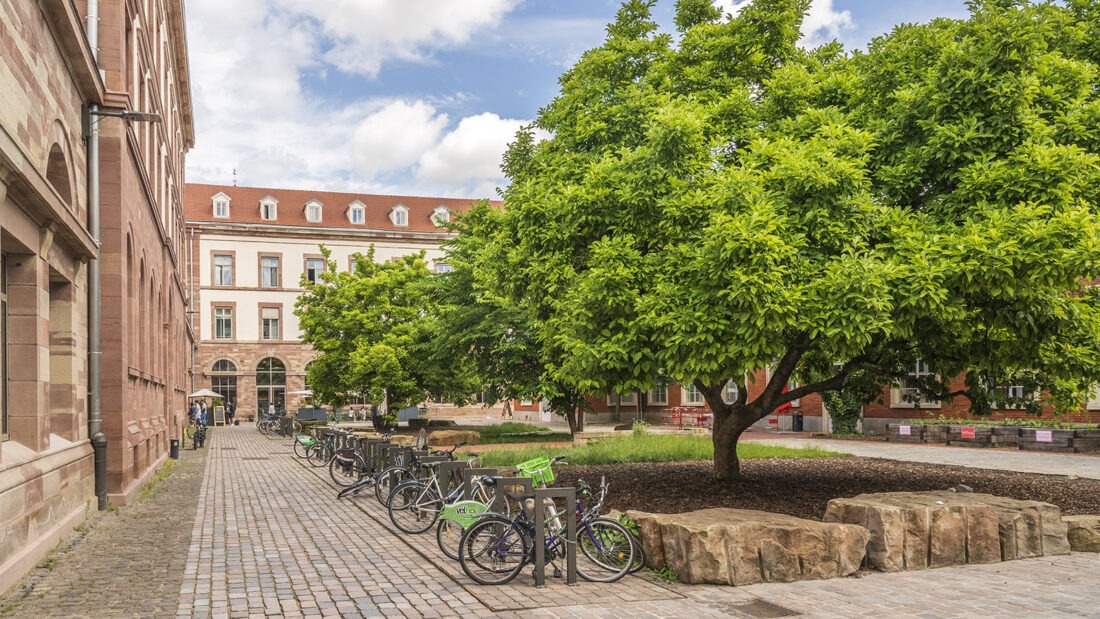 Auf der Krutenau wurde eine frühere Tabakmanufaktur zum Cour des Cigarieres mit Hostel,  Digitalzentrum, Ingenieurschule sowie der Kooma-Brasserie samt épicerie. Foto: Hilke Maunder 