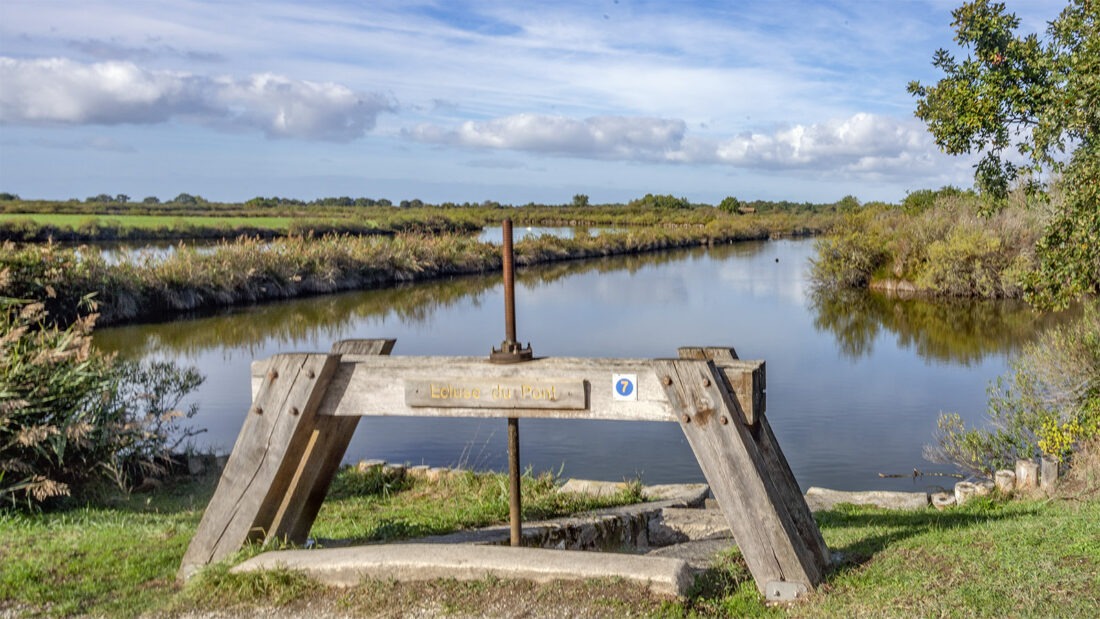 Schleusen regeln den Wasserstand im Domaine de Certes de Graveyron. Foto: Hilke Maunder