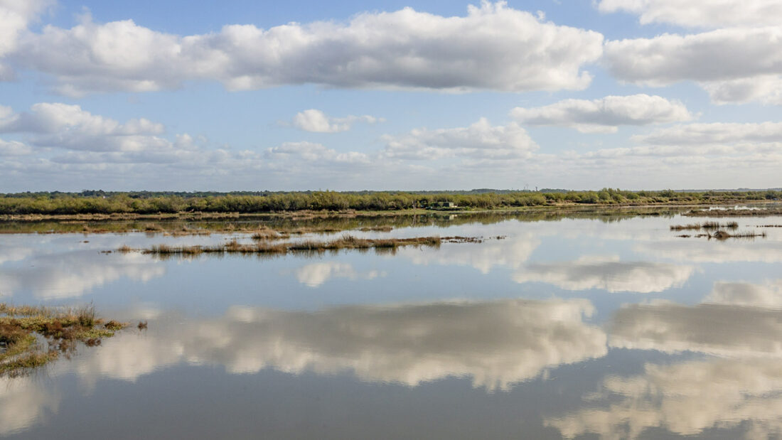 Himmel und Meer verschwimmen im Domaine de Certes et Aveyron am Ostufer des Bassin d'Arcachon. Foto: Hilke Maunder