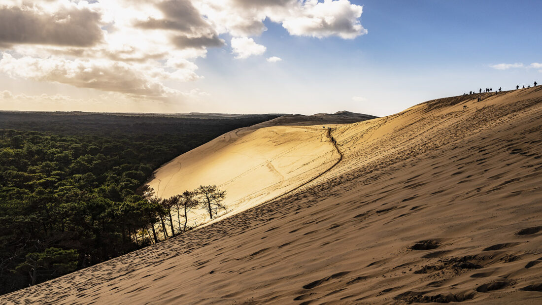 Blick über die Düne von Pilat und die Forêt des Landes gen Süden. Foto: Hilke Maunder